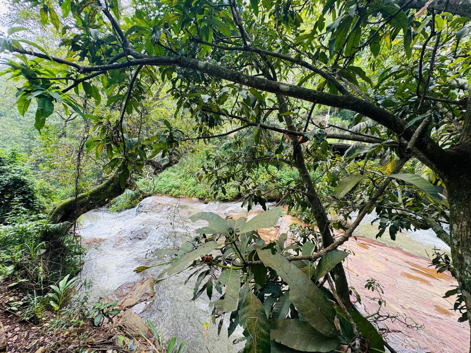 River Splendour Home Stay Ella Exterior photo